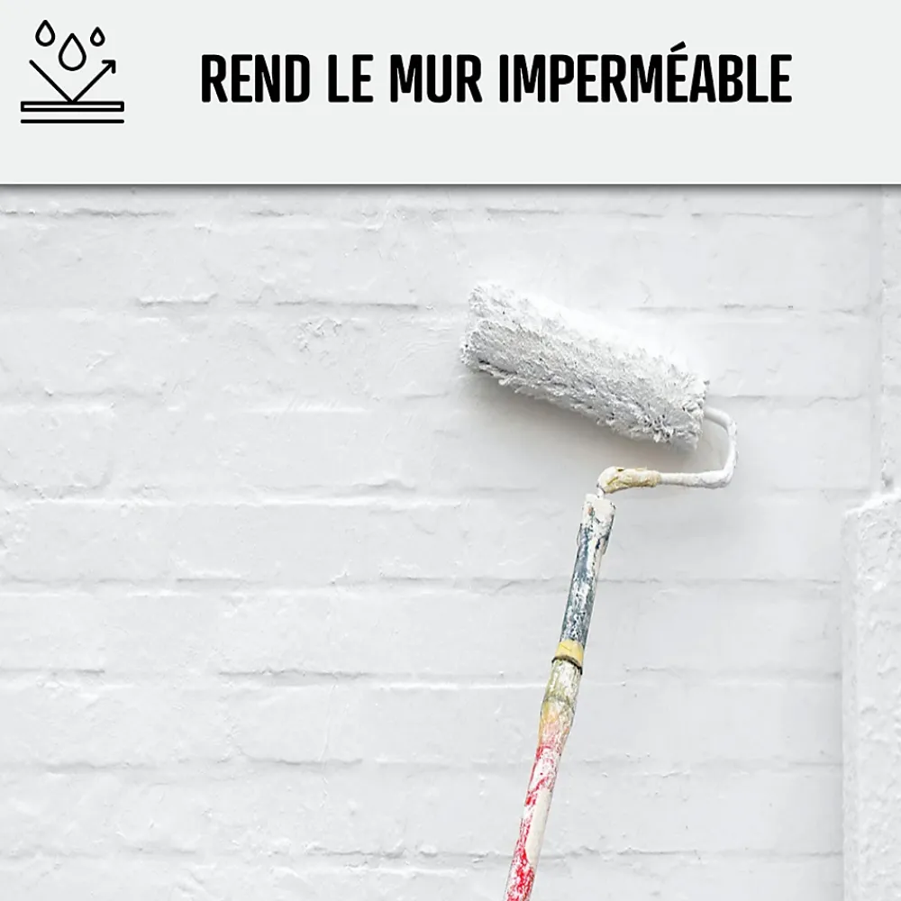 Arcane Industries Etanchéité Du Mur Intérieur-Peinture anti humidité mur humide salle de bain - ARCASCREEN - 0.75 L (jusqu'à 3 m²) -