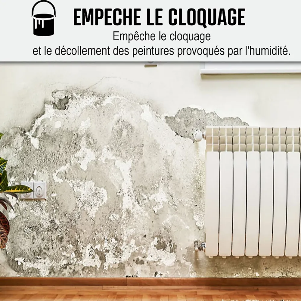 Arcane Industries Etanchéité Du Mur Intérieur-Peinture anti humidité mur humide salle de bain - ARCASCREEN - 0.75 L (jusqu'à 3 m²) -