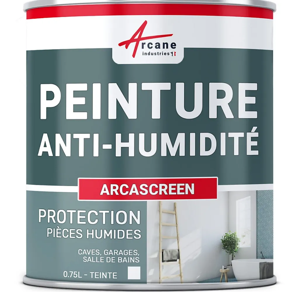 Arcane Industries Etanchéité Du Mur Intérieur-Peinture anti humidité mur humide salle de bain - ARCASCREEN - 0.75 L (jusqu'à 3 m²) -