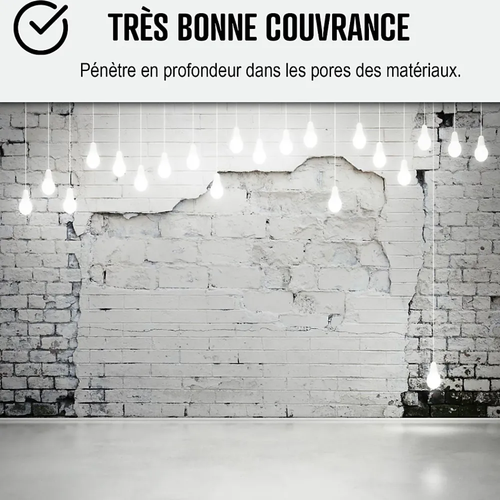Arcane Industries Etanchéité Du Mur Intérieur-Peinture anti humidité mur humide salle de bain - ARCASCREEN - 0.75 L (jusqu'à 3 m²) -