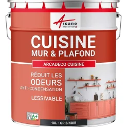 Arcane Industries Etanchéité Du Mur Intérieur-Peinture cuisine lavable, mur et plafond Gris Noir - RAL 7021 - 10 L -