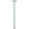 Diall Pied de meuble H. 200 mm x ø 30 mm blanc