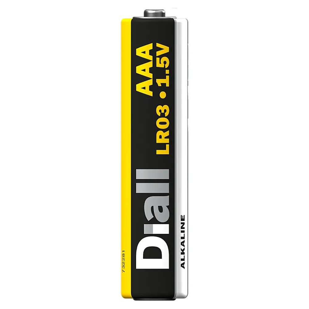 Diall Pile Aaa|Pile Lr03-Pile alcaline AAA (LR03) non rechargeable, lot de 24