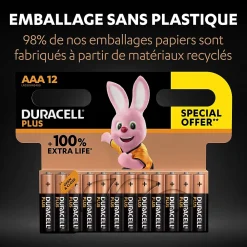 Duracell Pile Aaa|Pile Lr03-Pile alcaline AAA (LR03) Plus non rechargeable, lot de 12