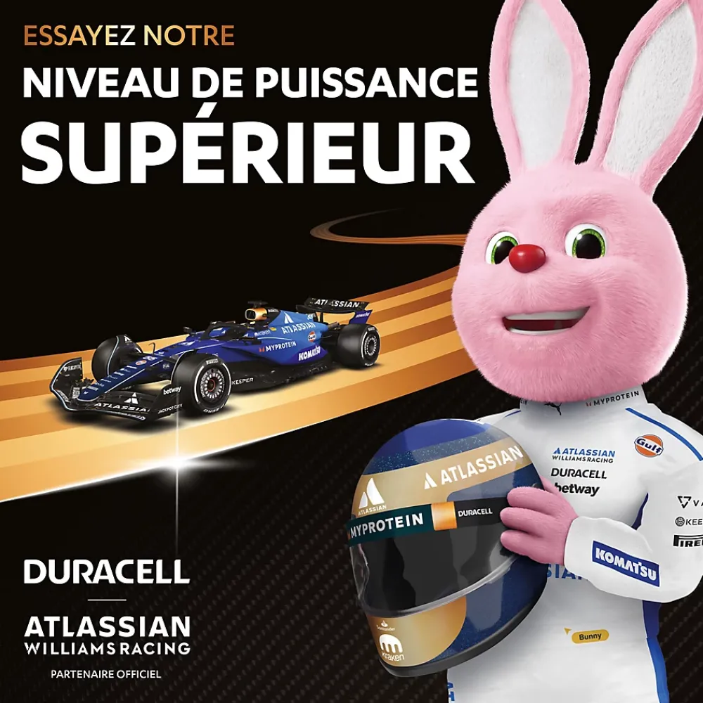 Duracell Pile alcaline AA (LR6) Plus Power Boost, lot de 12