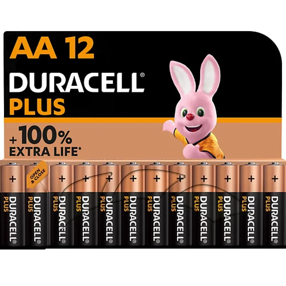 Duracell Pile alcaline AA (LR6) Plus non rechargeable, lot de 12