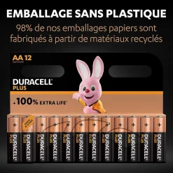 Duracell Pile alcaline AA (LR6) Plus non rechargeable, lot de 12