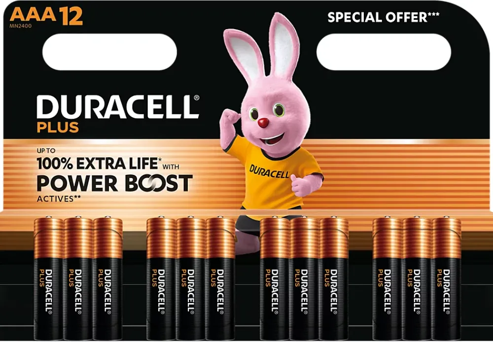 Duracell Piles alcaline AAA LR3 Plus Powerboost - lot de 12