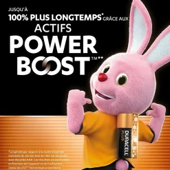 Duracell Piles alcaline AAA LR3 Plus Powerboost - lot de 12