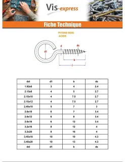 Vis Express Piton Bois 4X30 Oeil 12 Acier zingué - 100 pièces