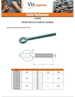 Vis Express Piton Métaux M6X100 Diamètre Oeil 10 Acier zingué - 30 pièces
