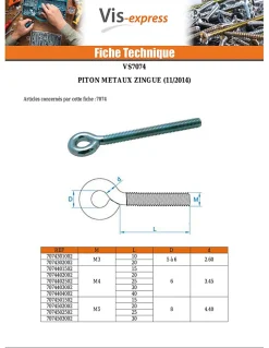 Vis Express Piton Métaux M4X25 Diamètre Oeil 6 Acier zingué - 10 pièces
