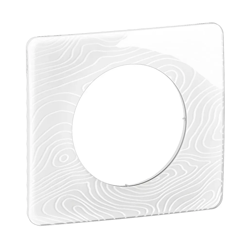 Legrand Plaque de finition 1 poste Céliane CP0621 coloris blanc relief l.90 x P.9 x H.82 mm