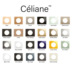 Legrand Plaque de finition 1 poste Céliane CP1721 coloris aluminium satiné l.90 x P.9 x H.82 mm