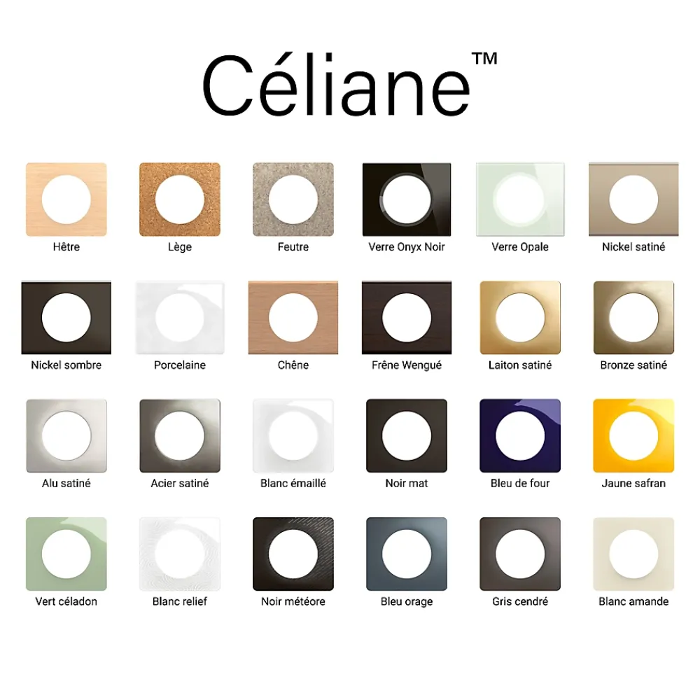 Legrand Plaque de finition 1 poste Céliane CP2001 coloris verre opale blanc l.101 x P.11 x H.84 mm