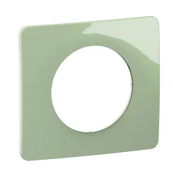 Legrand Plaque de finition 1 poste Céliane CP0521 coloris vert céladon l.90 x P.9 x H.82 mm