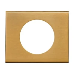 Legrand Plaque De Finition Pour Interrupteur Et Prise À Composer-Plaque de finition 1 poste Céliane 0 691 31 coloris bronze doré l.100 x P.8,5 x H.82 mm