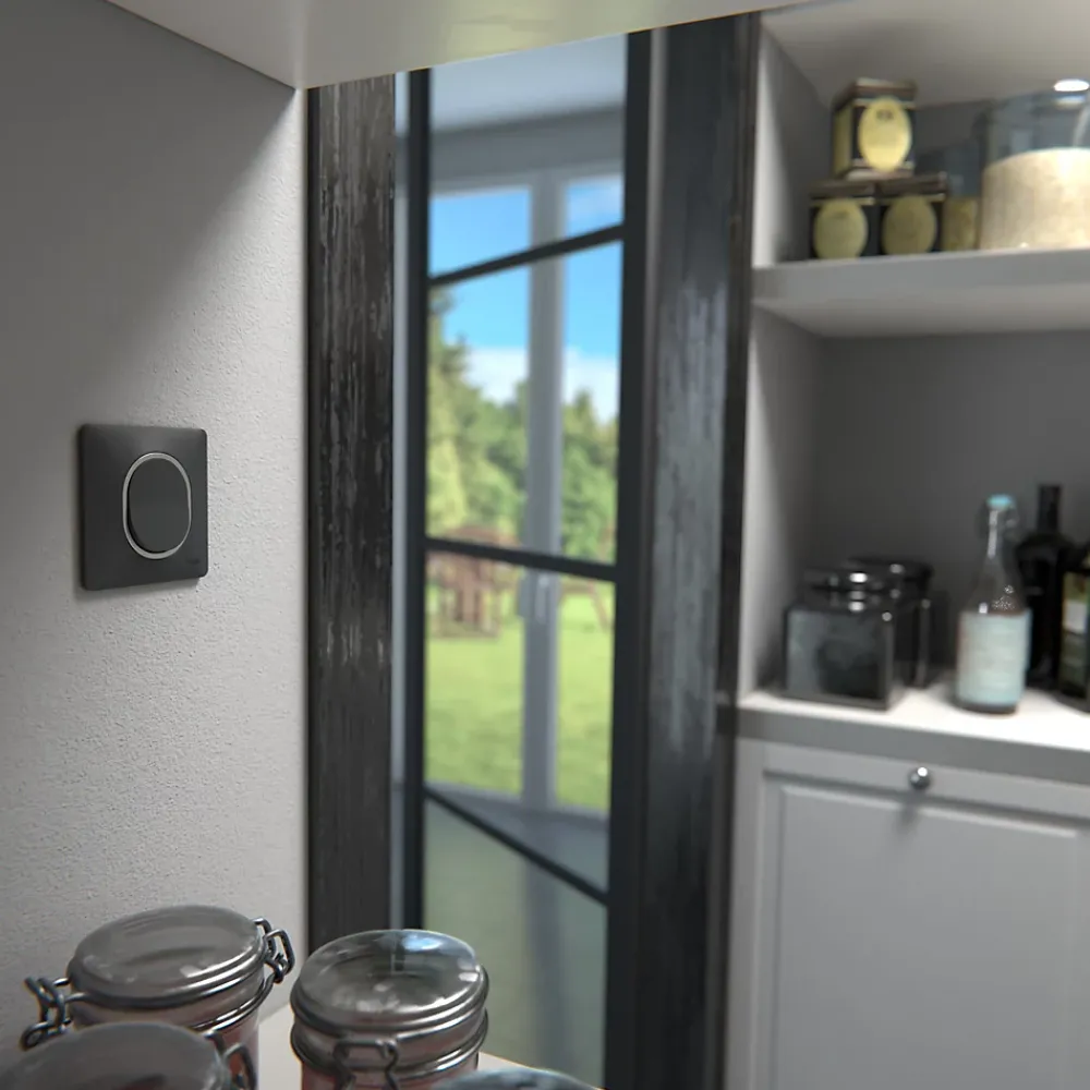Schneider Electric Plaque de finition 1 poste Ovalis S340702G coloris anthracite avec liseré argent chromé l.87 x P.10 x H.87 mm
