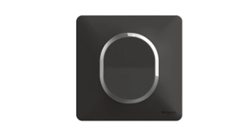 Schneider Electric Plaque de finition 1 poste Ovalis S340702G coloris anthracite avec liseré argent chromé l.87 x P.10 x H.87 mm