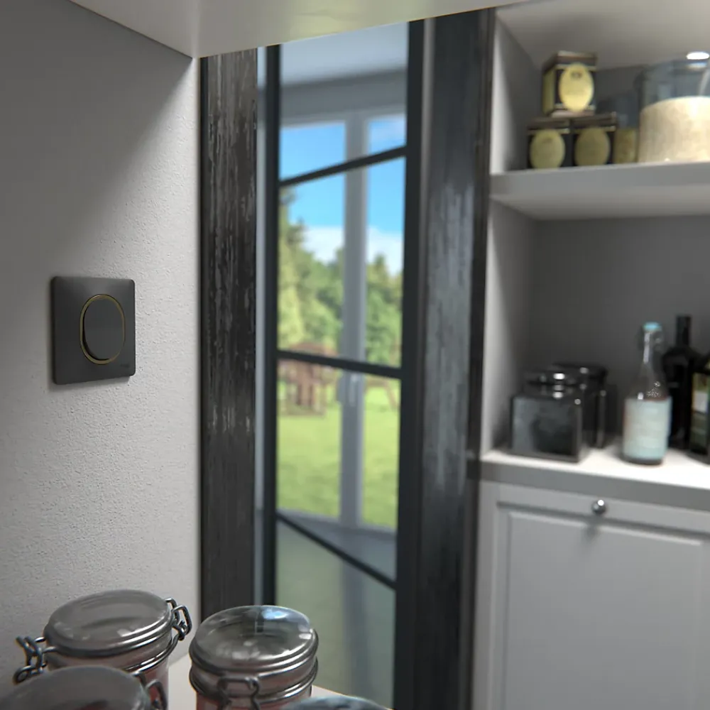 Schneider Electric Plaque de finition 1 poste Ovalis S340702E coloris anthracite avec liseré laiton l.87 x P.10 x H.87 mm
