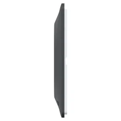 Schneider Electric Plaque de finition 1 poste Ovalis S340702E coloris anthracite avec liseré laiton l.87 x P.10 x H.87 mm