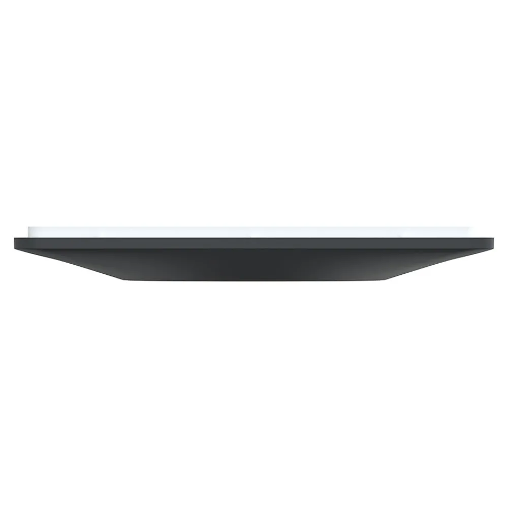 Schneider Electric Plaque de finition 1 poste Ovalis S340702E coloris anthracite avec liseré laiton l.87 x P.10 x H.87 mm