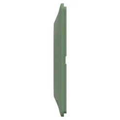 Schneider Electric Plaque de finition 1 poste Ovalis S320702B coloris vert forêt l.87 x P.10 x H.87 mm
