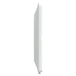 Schneider Electric Plaque de finition 1 poste Ovalis S320702 coloris blanc l.87 x P.10 x H.87 mm