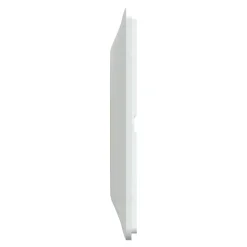 Schneider Electric Plaque De Finition Pour Interrupteur Et Prise À Composer-Plaque de finition 1 poste Ovalis S320702D coloris blanc avec liseré laiton l.87 x P.10 x H.87 mm