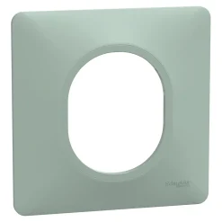 Schneider Electric Plaque de finition 1 poste Ovalis S320702A coloris sauge l.87 x P.10 x H.87 mm