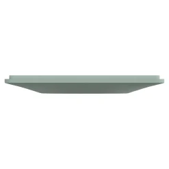 Schneider Electric Plaque de finition 1 poste Ovalis S320702A coloris sauge l.87 x P.10 x H.87 mm