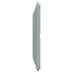 Schneider Electric Plaque de finition 1 poste Ovalis S320702A coloris sauge l.87 x P.10 x H.87 mm