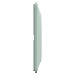 Schneider Electric Plaque de finition 1 poste Ovalis S320702A coloris sauge l.87 x P.10 x H.87 mm