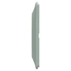 Schneider Electric Plaque de finition 2 postes Ovalis S320704A coloris sauge l.158 x P.10 x H.87 mm