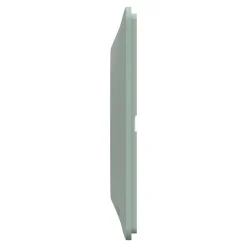 Schneider Electric Plaque de finition 2 postes Ovalis S320704A coloris sauge l.158 x P.10 x H.87 mm