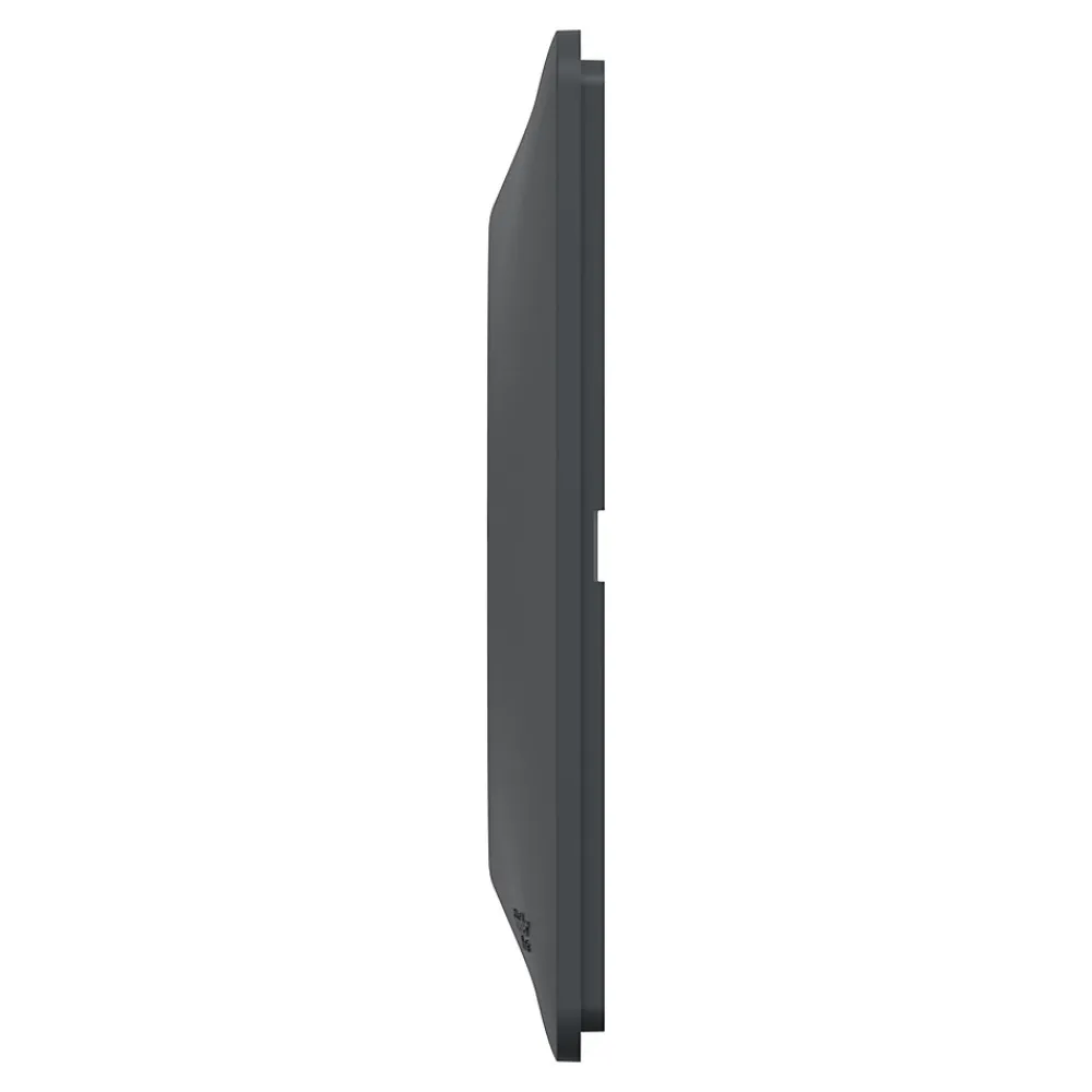Schneider Electric Plaque De Finition Pour Interrupteur Et Prise À Composer-Plaque de finition 2 postes Ovalis S340704E coloris anthracite avec liseré laiton l.158 x P.10 x H.87 mm
