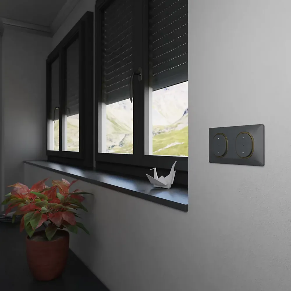 Schneider Electric Plaque De Finition Pour Interrupteur Et Prise À Composer-Plaque de finition 2 postes Ovalis S340704E coloris anthracite avec liseré laiton l.158 x P.10 x H.87 mm