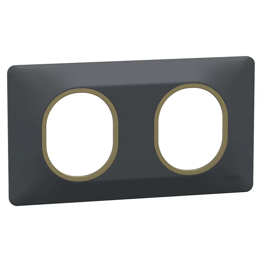 Schneider Electric Plaque De Finition Pour Interrupteur Et Prise À Composer-Plaque de finition 2 postes Ovalis S340704E coloris anthracite avec liseré laiton l.158 x P.10 x H.87 mm