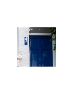 Thirard Plaque de signalisation TER, marquage blanc sur fond bleu, panneau PVC adhésif, 65x90mm -