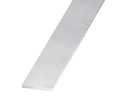 Profilé-Plat aluminium anodisé incolore 20 x 2 mm, 1 m