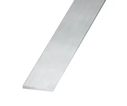 Profilé-Plat aluminium brut effet argenté 40 x 2 mm, 1 m