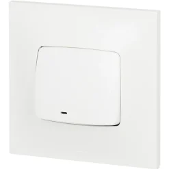 Legrand Interrupteur Encastrable-Poussoir lumineux Neptune plastique blanc
