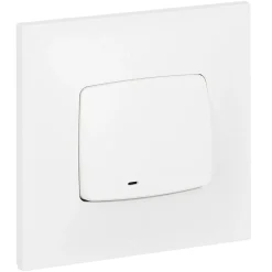 Legrand Interrupteur Encastrable-Poussoir lumineux Neptune plastique blanc
