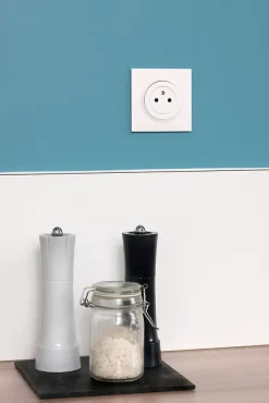 Legrand Prise Encastrable-Prise avec terre affleurante Dooxie blanc carrée
