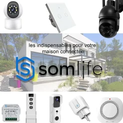 Somlife Prise connectée application tuya smart life contrôle de consommation Compatible avec Alexa/Google Home