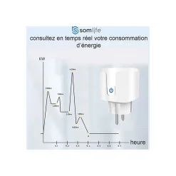 Somlife Prise connectée application tuya smart life contrôle de consommation Compatible avec Alexa/Google Home