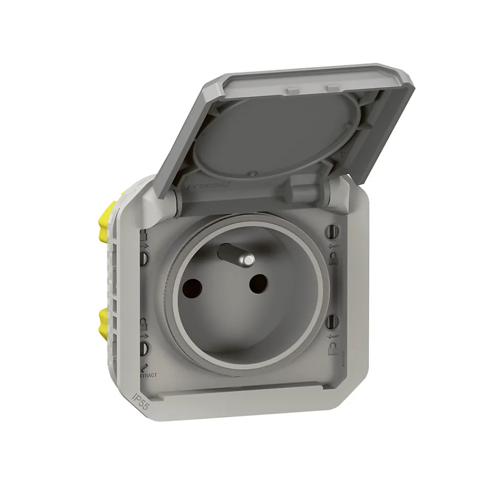 Legrand Prise de courant 16A 2P+T Plexo™ grise composable