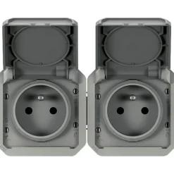 Legrand Interrupteur Étanche-Prise de courant étanche - Plexo - Composable - - 2 x 2P+T - 16 A - Gris - IP55 - Horizontale - Précâblée