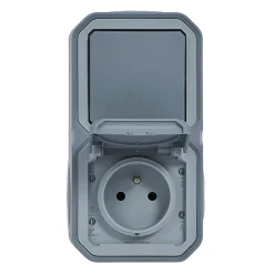 Legrand Prise et interrupteur Plexo gris en saillie