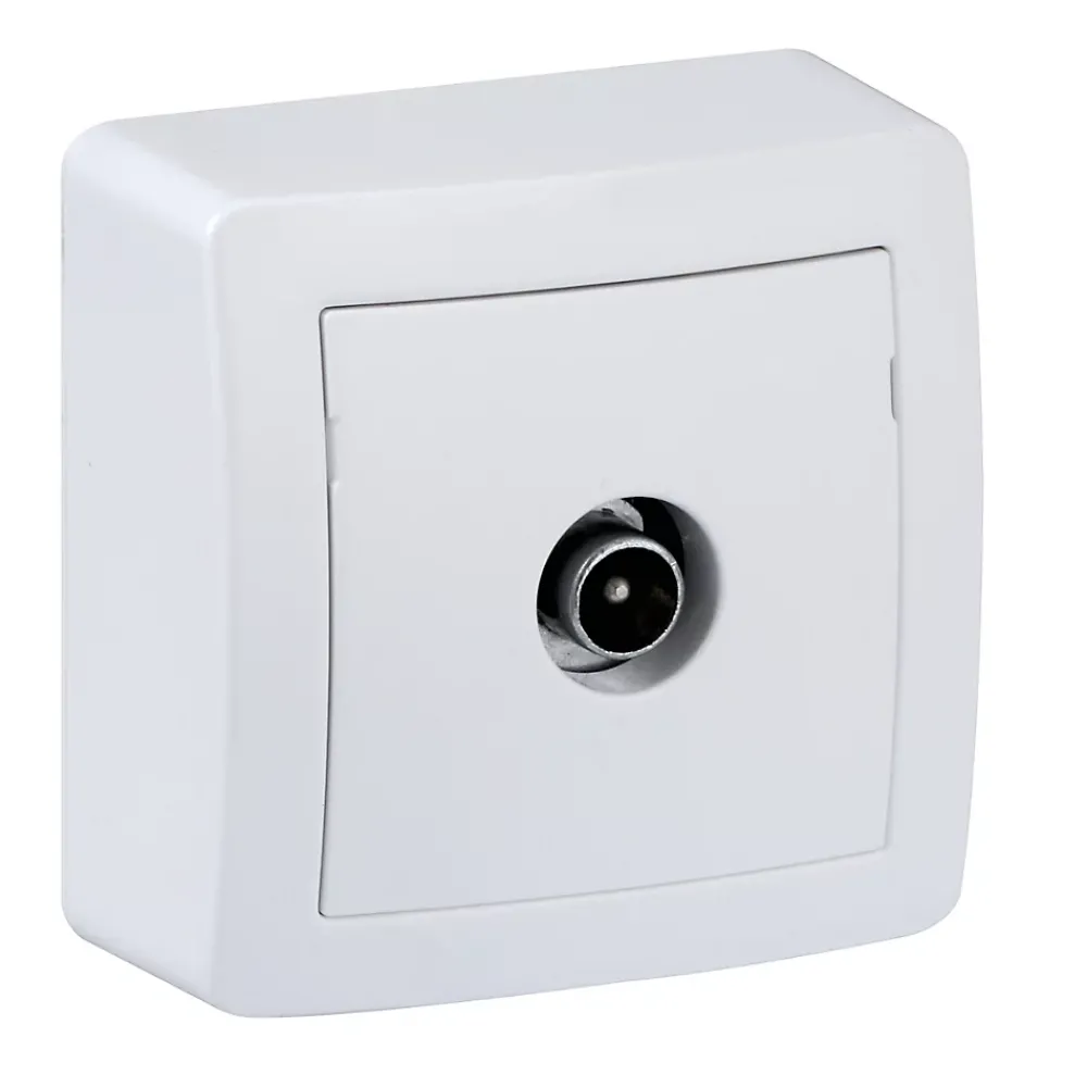 Schneider Electric Prise TV simple complète saillie Alréa blanc